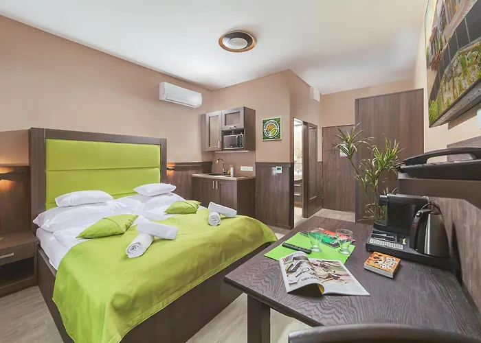 Hotell Park Buekfuerdo 4*