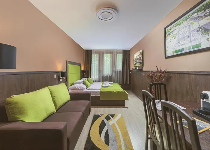 Hotel Park Buekfuerdo Bük