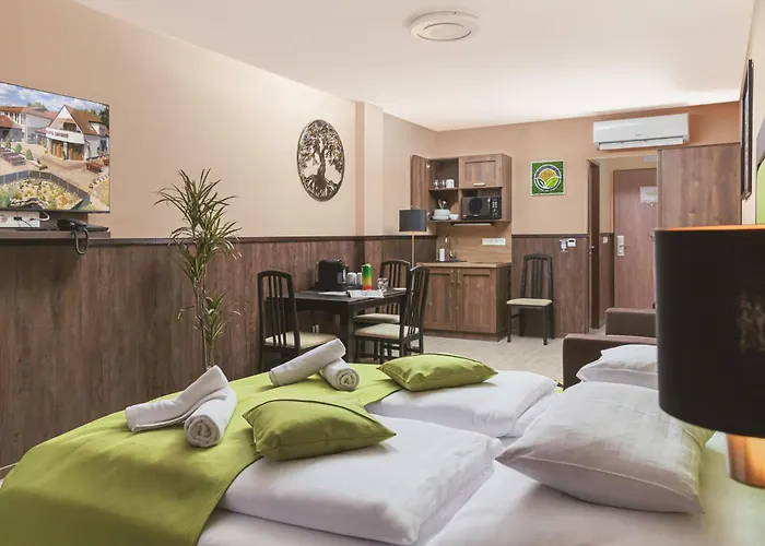 Hotel Park Buekfuerdo